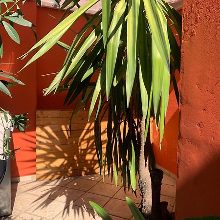 Villa Coyoacan เม็กซิโกซิตี้ ภายนอก รูปภาพ