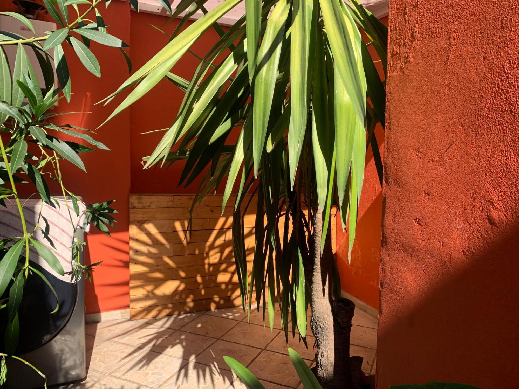 Villa Coyoacan เม็กซิโกซิตี้ ภายนอก รูปภาพ