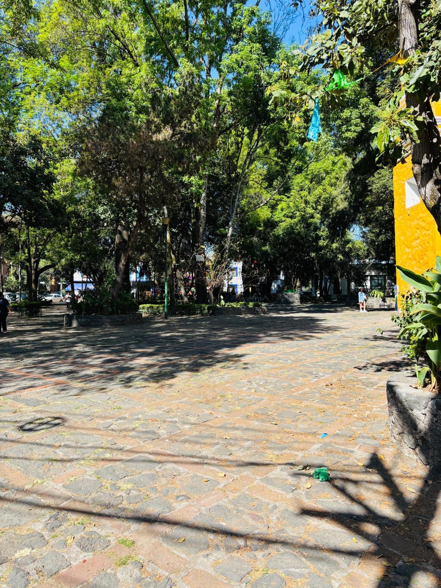 Villa Coyoacan เม็กซิโกซิตี้ ภายนอก รูปภาพ